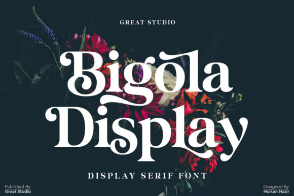 Bigola: A Bold and Trendy Display Font for Modern Design